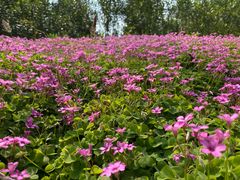 -仙海旅游度假区