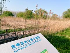 -鱼嘴湿地公园