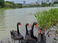 -Grid Coffee(大运天地店)