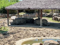 -上海野生动物园