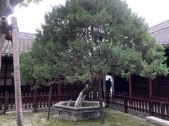 -水绘园