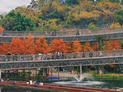 -梅峰山地公园