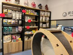 -伟伟宠物医院·瑞派猫友好医院·猫科(光谷店)