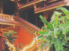 -西双版纳总佛寺