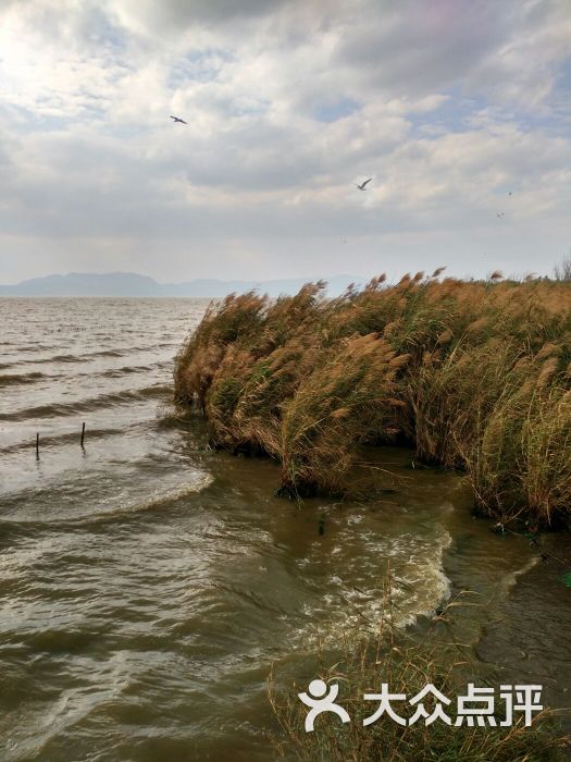 捞鱼河湿地公园-图片-呈贡区周边游-大众点评网