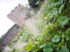 -龙环葡韵住宅式博物馆