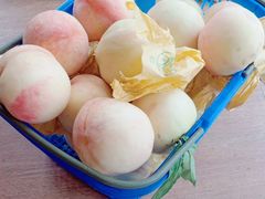 -南汇新场正宗水蜜桃采摘