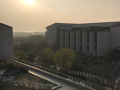 -上海崇明金茂凯悦酒店