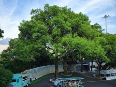-广州市白云山风景名胜区