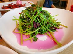 清炒时蔬-菩提树·素食餐厅(汇智国际商业中心店)