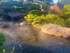 -罗红摄影艺术馆