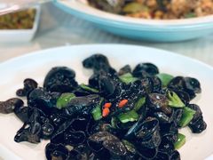 -石头咕(葵蓬店)