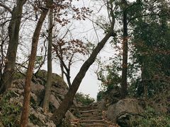 -九曜山