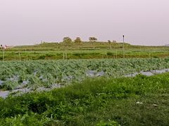-光明小镇欢乐田园