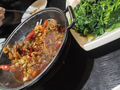 -新概念东北菜(场北店)