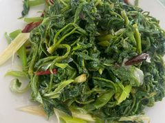 -庆岭迎宾园正宗活鱼馆