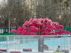 -欢乐水魔方水世界
