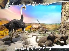 -国家自然博物馆