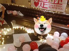 -聚会山庄·派对会议团建别墅轰趴馆(中兴和园店)
