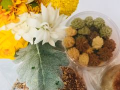 -CHEZ JASMINE 茉莉的氧气厨房