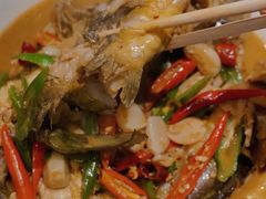 -杨氏青龙虾·羊蝎子(金盛路总店)