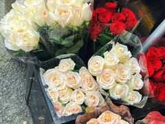 -循礼门鲜花花市(武汉循礼门店)