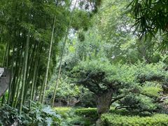 -静安公园(静安寺街道)