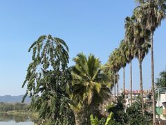 -中国科学院西双版纳热带植物园