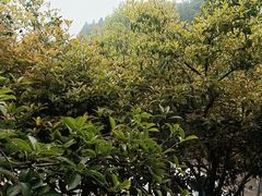 -故乡缘·香格里拉山庄(冷竹路店)