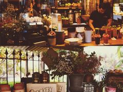 -The Grounds of Alexandria