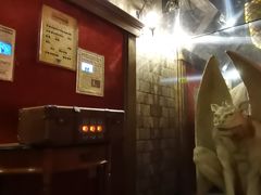 -逃脱反斗城沉浸剧情密室(北京路店)