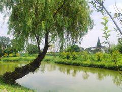 -嘉北郊野公园