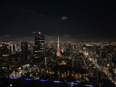 -六本木新城展望台(东京城市景观)