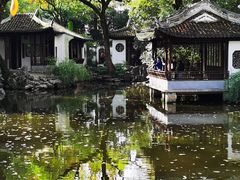 -秋霞圃