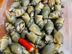 -铭聚章鱼土笋冻(松柏店)