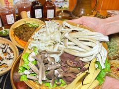 -阿山卓·野生菌火锅·纳西火塘烤肉