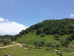 -大水川景区