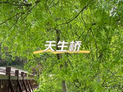 -天生桥景区