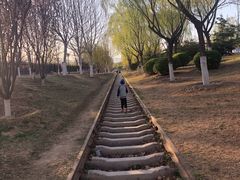 -永定河休闲森林公园