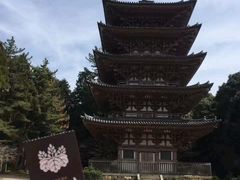 -醍醐寺