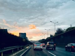 -常青藤国际象棋(新奥店)