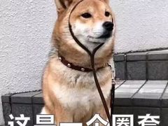 -脆皮五花肉(建东街旗舰店)