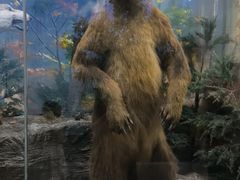 -国家自然博物馆