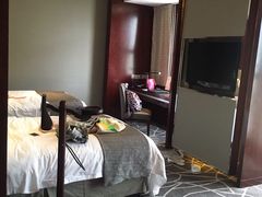 -常州环球恐龙城维景国际大酒店