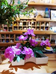 -今日陶艺(富力广场店)