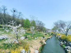 -羊山湖公园
