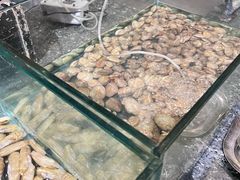 -太原富力万达文华酒店·美食汇西餐厅
