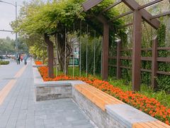-北京国子监胡同