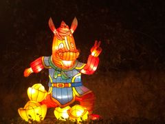 -横店影视城梦幻谷园区