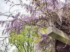 -白塘生态植物园